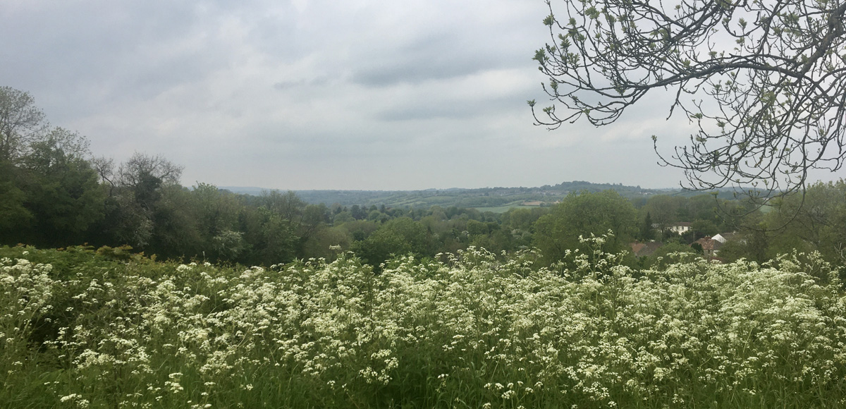 holistic therapist in Bath